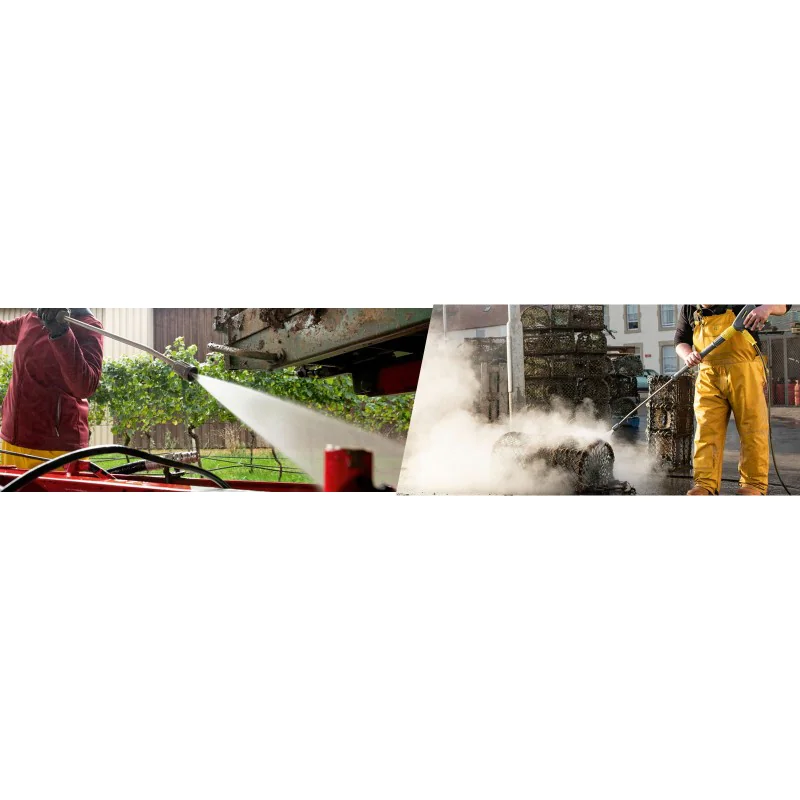 Lavor Arizona 1209 LP Profesjonalna myjka ciśnieniowa (120 bar, 2300 W) - 36085-00025