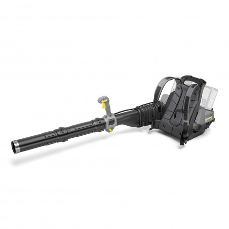 Dmuchawa Karcher LBB 1060/36 Bp (1060 m³/h)