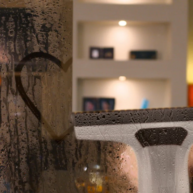 Zestaw Karcher WV 6 Plus + Środek do czyszczenia RM 500