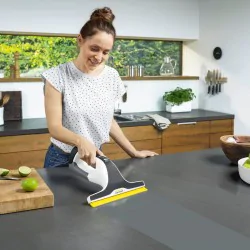 Zestaw Karcher WV 6 Plus + Lance teleskopowe do 1.5 m + Środek do czyszczenia RM 500