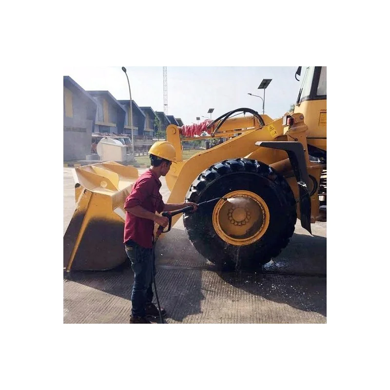 Lavor Thermic 2W Profesjonalna spalinowa myjka ciśnieniowa (250 bar, 1080 l/h) - 36021-00038