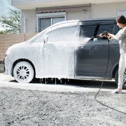 Zestaw Karcher K Silent Anniversary Edition + Szczotka obrotowa WB 130