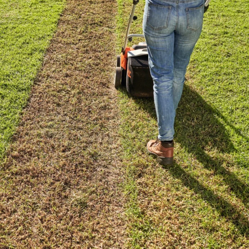 Stihl RLA 240 Wertykulator i aerator akumulatorowy z akumulatorem AK 30 S i ładowarką AL 101 (0.9 kW, 34 cm) - 62912000012
