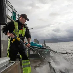 Zestaw Myjka wysokociśnieniowa Karcher HDS 7/16-4 C + Lanca pianowa + Piana alkaliczna RM 838