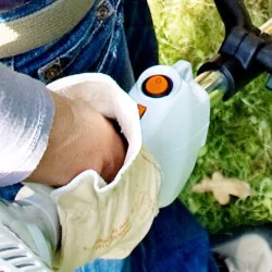 Stihl FS 55 R Kosa spalinowa (0.75 kW, 42 cm) - 41402000527