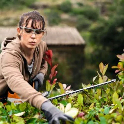 Stihl HSA 50 Akumulatorowe nożyce do żywopłotu w zestawie z akumulatorem i ładowarką - 45210113578