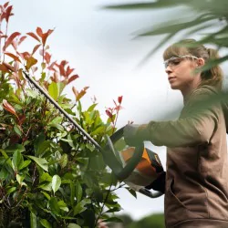 Stihl HSA 50 Akumulatorowe nożyce do żywopłotu w zestawie z akumulatorem i ładowarką - 45210113578