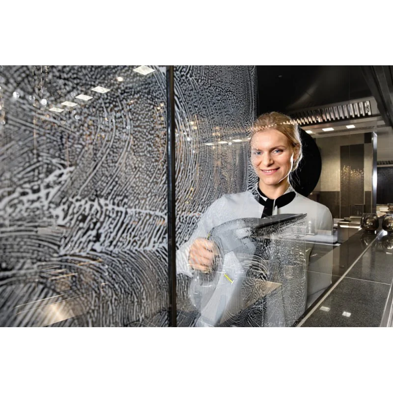 Zestaw Karcher WVP 10 ADV + Lance teleskopowe do 1.5 m + Środek do czyszczenia szkła RM 500