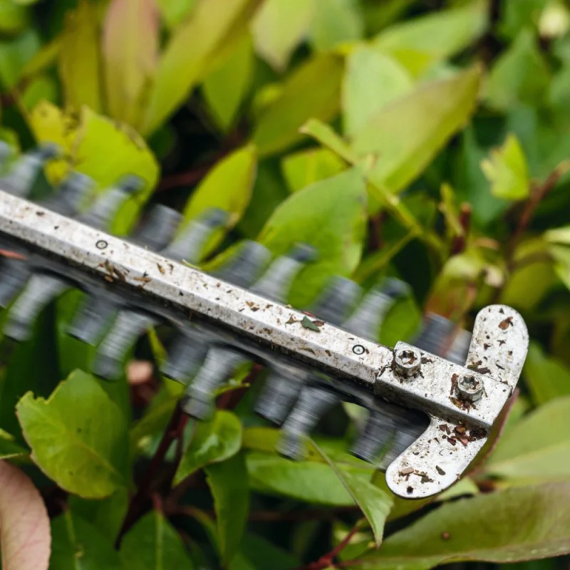 Zestaw Nożyce Akumulatorowe Stihl HSA 50 + Okulary Stihl + Sekator Zestaw Nożyce Akumulatorowe Stihl HSA 50 + Okulary Stihl + Sekator