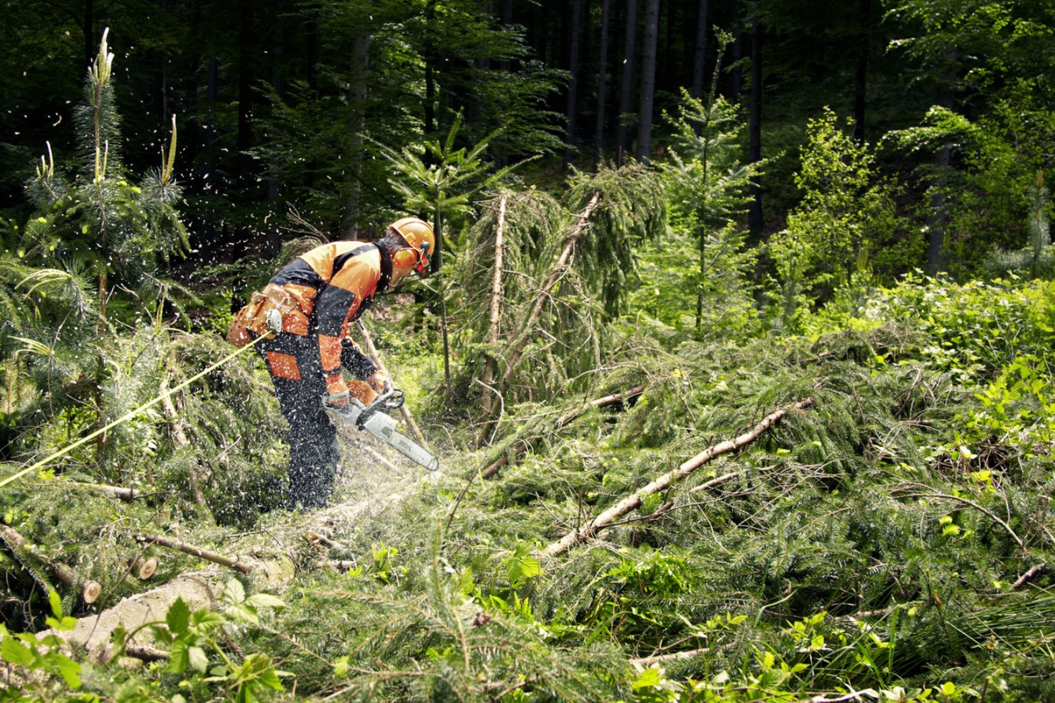 Pilarka spalinowa Stihl MS 362 C-M z systemem STIHL M-Tronic 11402000717 - 3,5 kW, 4,8 KM, 40 cm, 3/8 P, RS Super, 1,6 L04