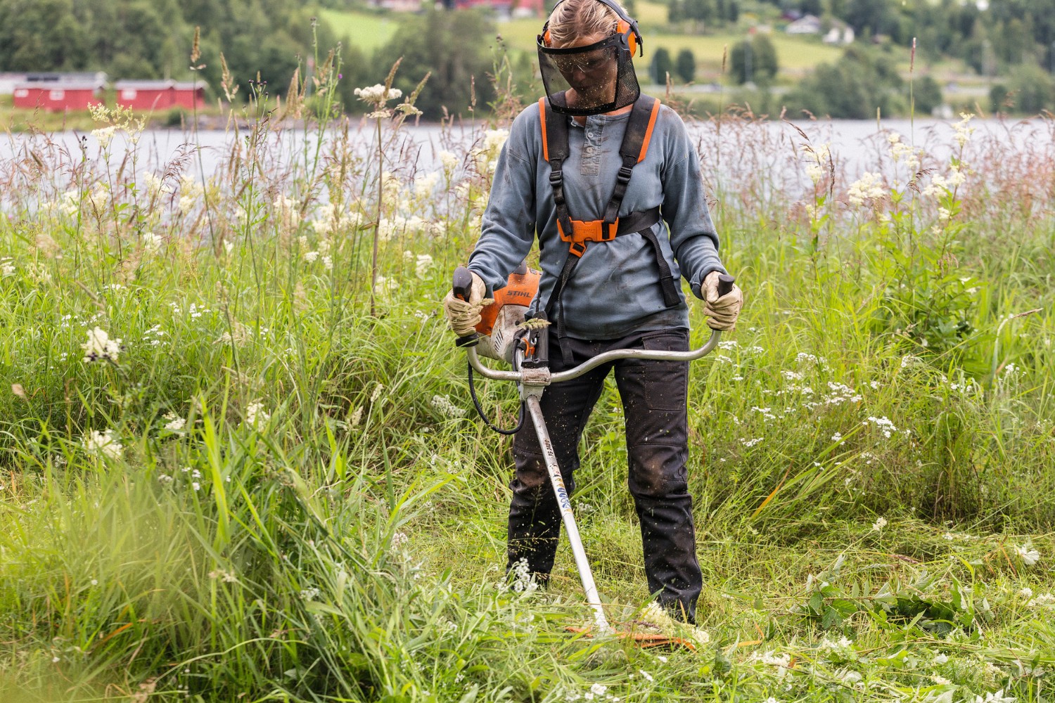 Kosa spalinowa Stihl FS 240 z głowicą AutoCut 36-2 41472000457 - 1,7 kW, 2,3 KM, 42 cm