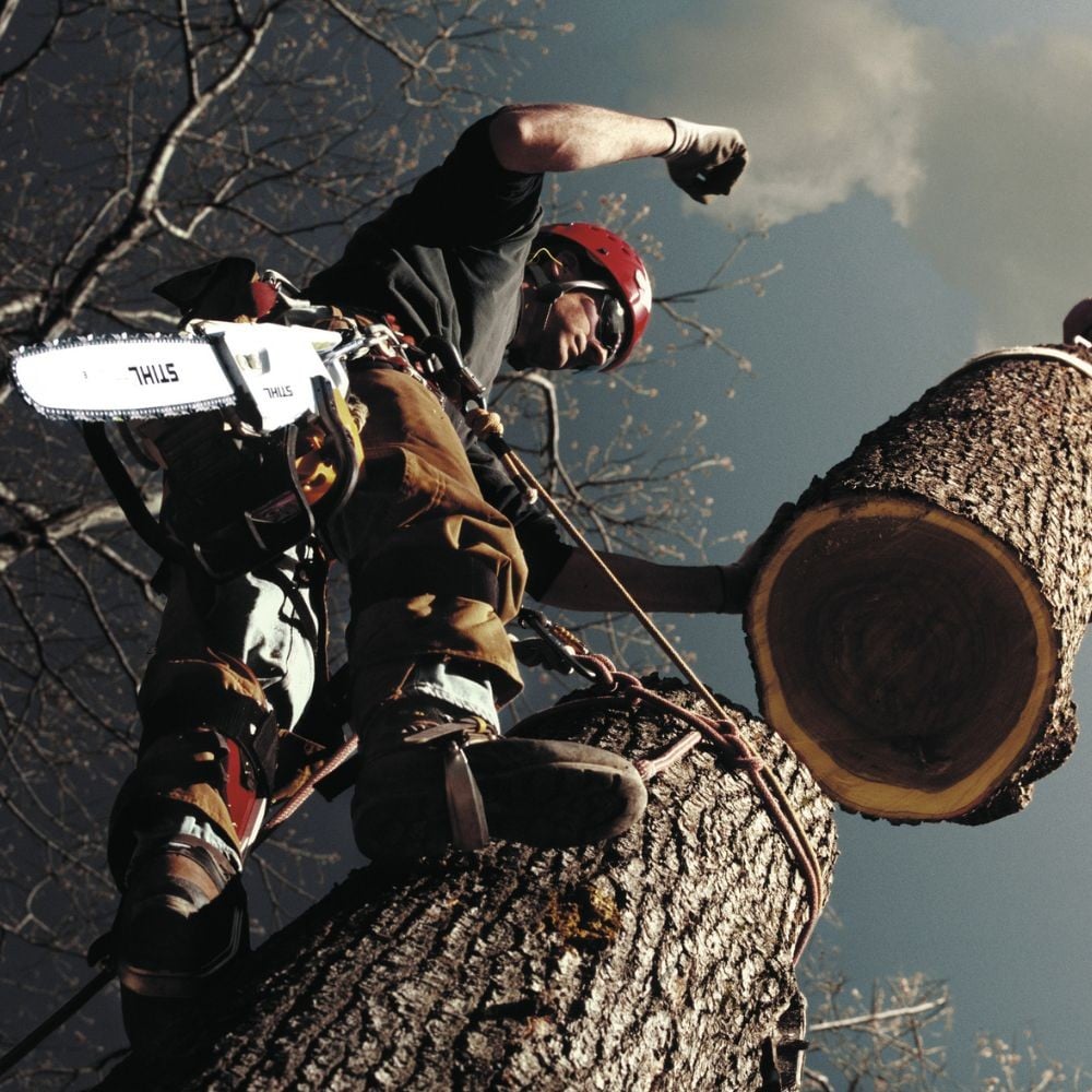 Stihl MSA 220 C-B - przezroczysty zbiornik oleju i ergonomiczny uchwyt