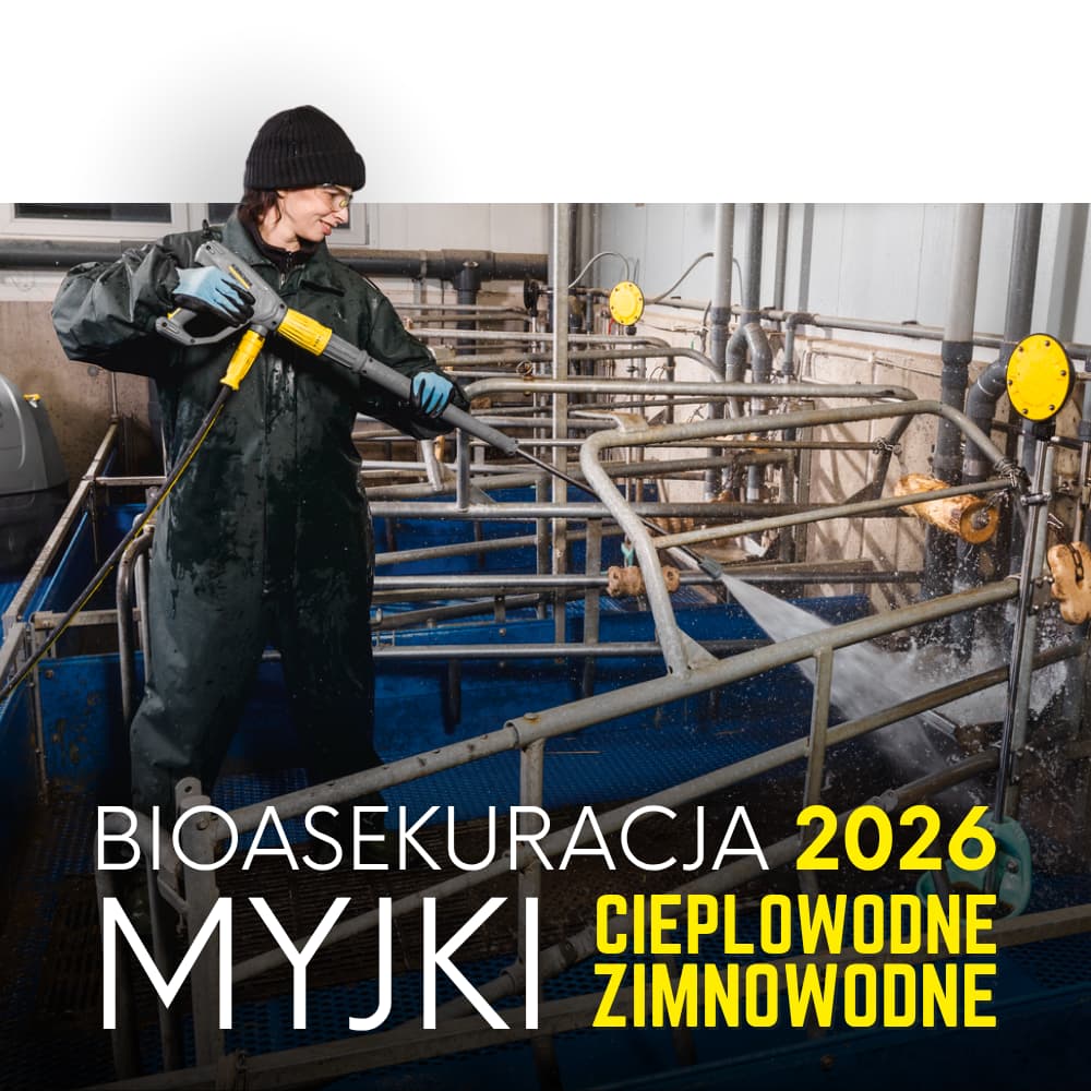 Dotacja na bioasekurację ASF 2026 dla hodowców świń