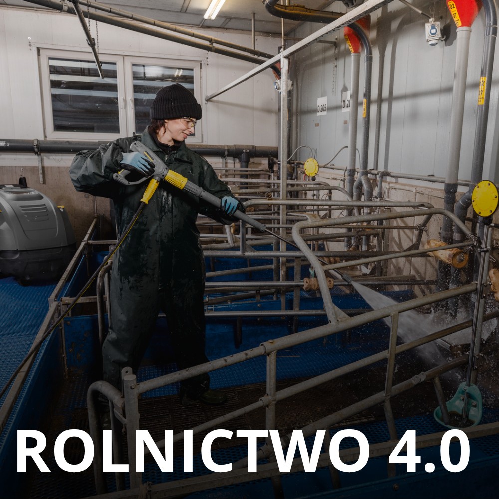 Dotacja Rolnictwo 4.0 dla hodowców świń - drugi nabór