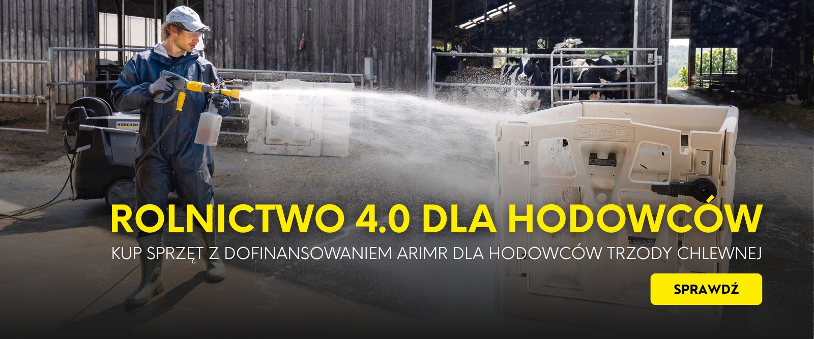 Dotacja Rolnictwo 4.0 dla hodowców trzody chlewnej - przewodnik po programie