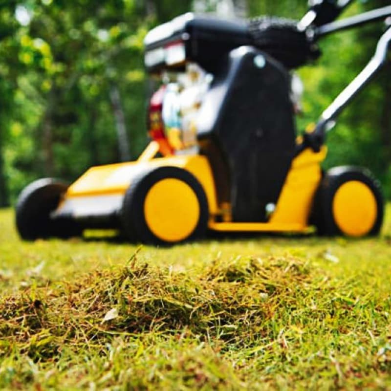 Wertykulacja trawnika - Kiedy i jak ją wykonać?