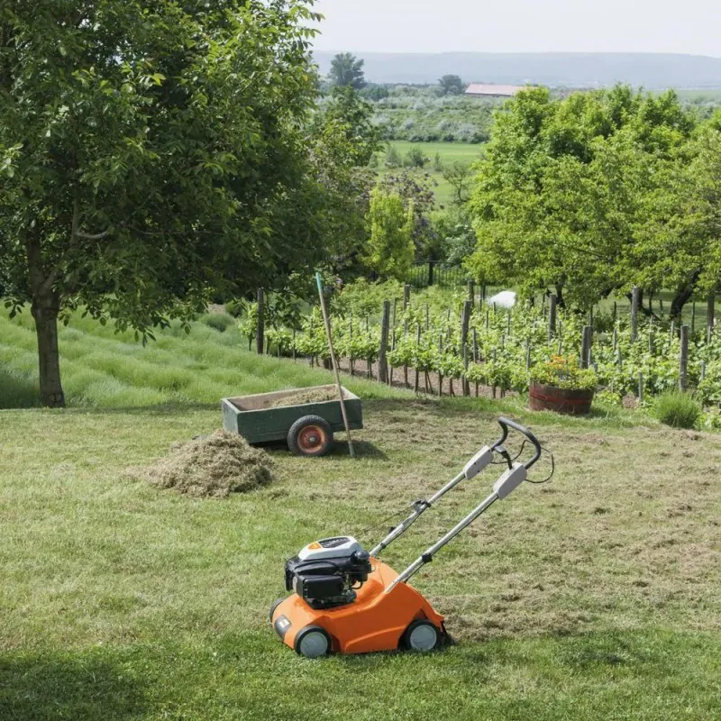 Wertykulator spalinowy Stihl RL 540