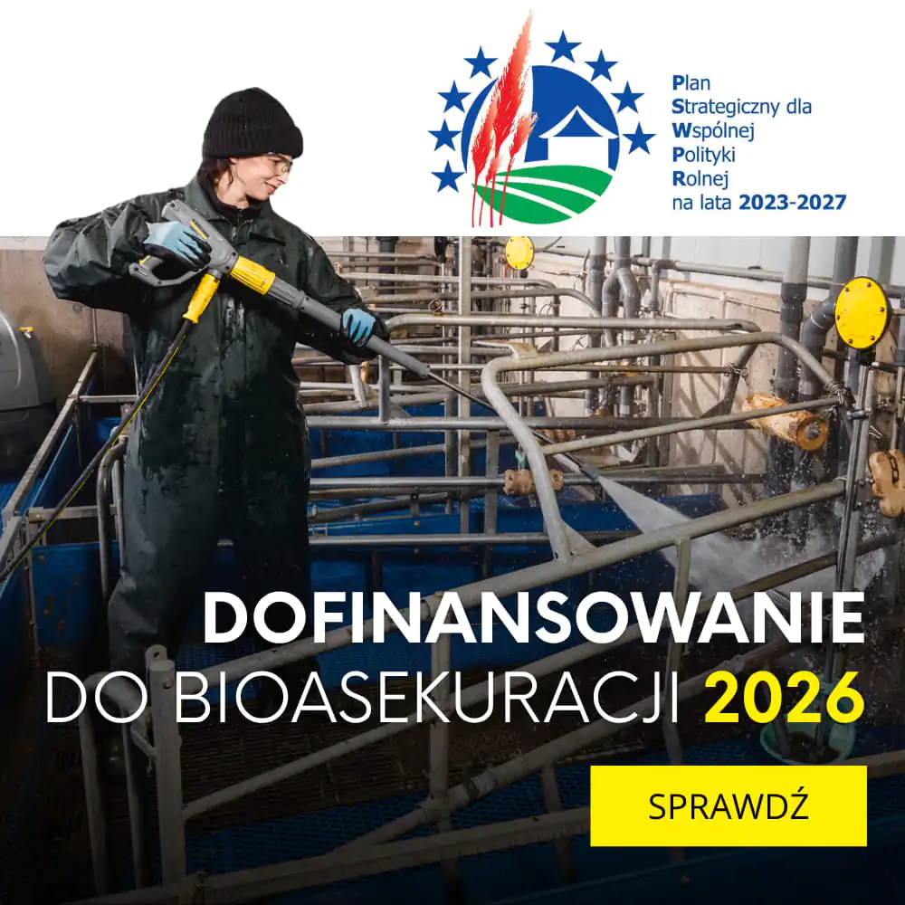 Bioasekuracja 2026 - dofinansowanie ARiMR na walkę z ASF - Jak zdobyć do 100 tys. zł? Bioasekuracja 2026 - dofinansowanie ARiMR na walkę z ASF - Jak zdobyć do 100 tys. zł?